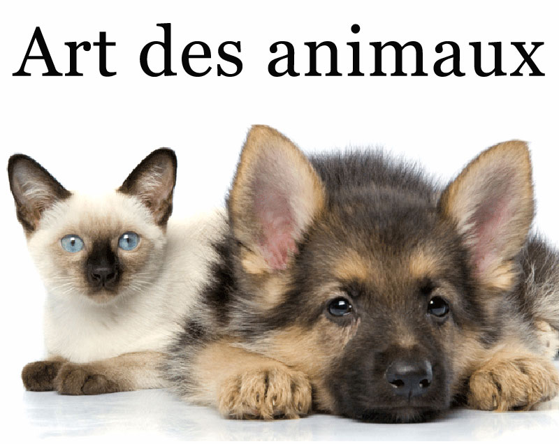 Art des Animaux : une boutique qui s’affiche en ligne !