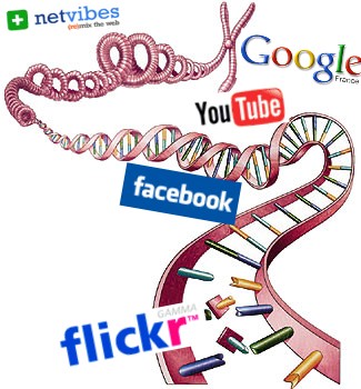 Le génôme des startups web de la Silicon Valley enfin décodé ?