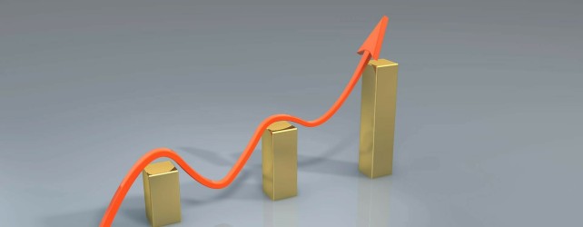 Le succès d’une startup: l’aboutissement d’un parcours souvent chaotique !